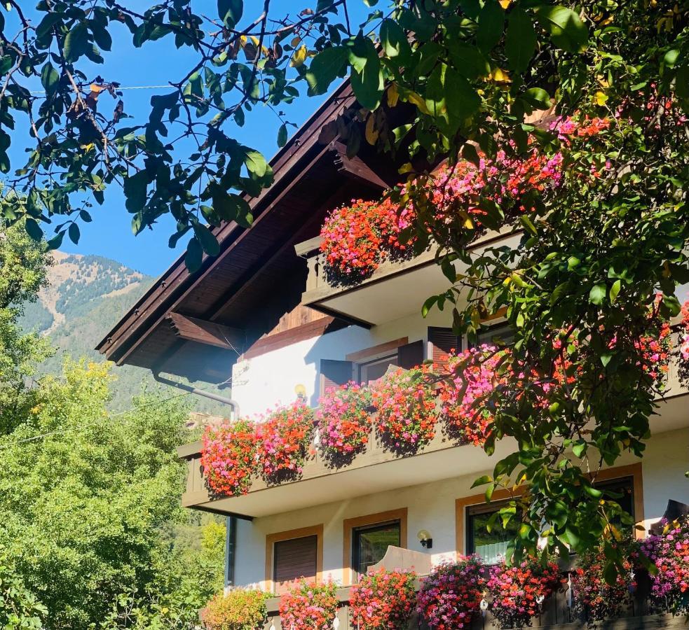 Tannerhof Bed & Breakfast Caines Eksteriør bilde